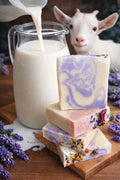 Lavander